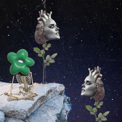 Two roses (collage)