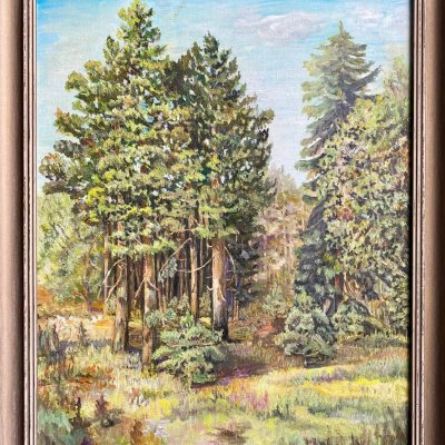 Лесная полянка
