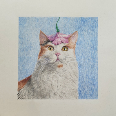 Pussya