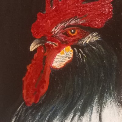 Rooster