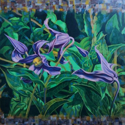 Clematis