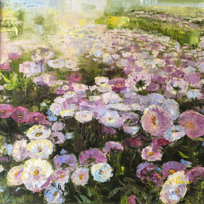 Mom's asters