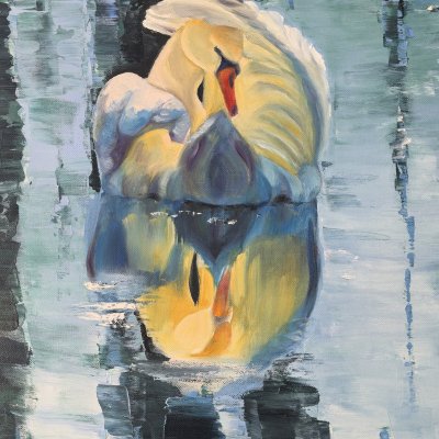 Swan languor