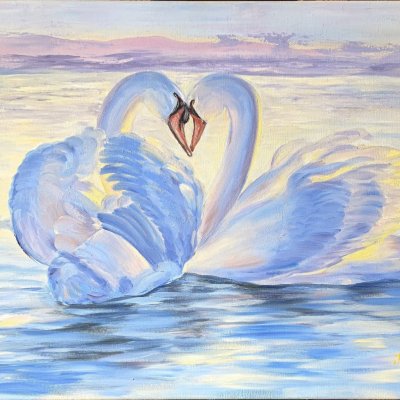Swan loyalty