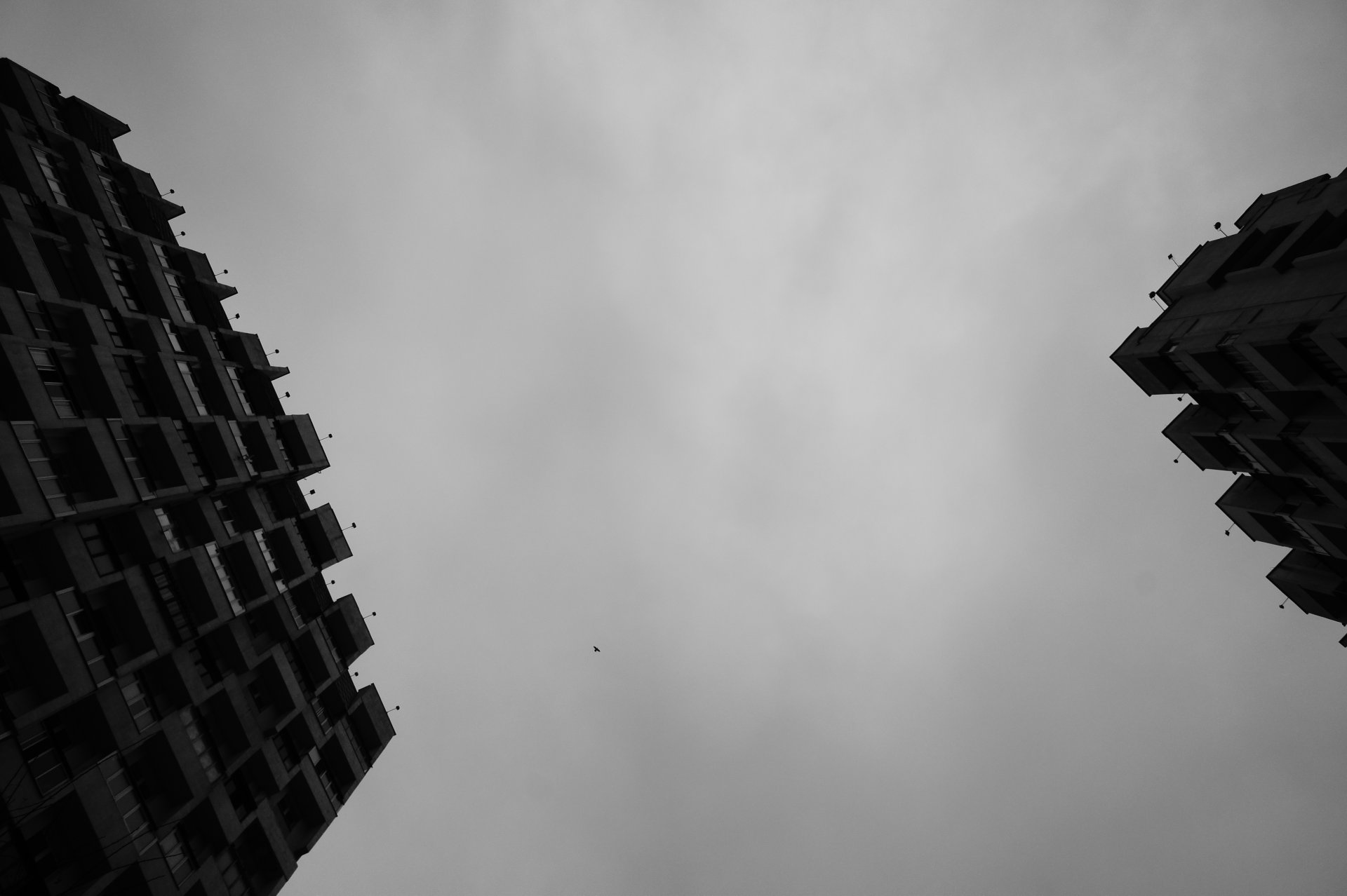 Фото обложки