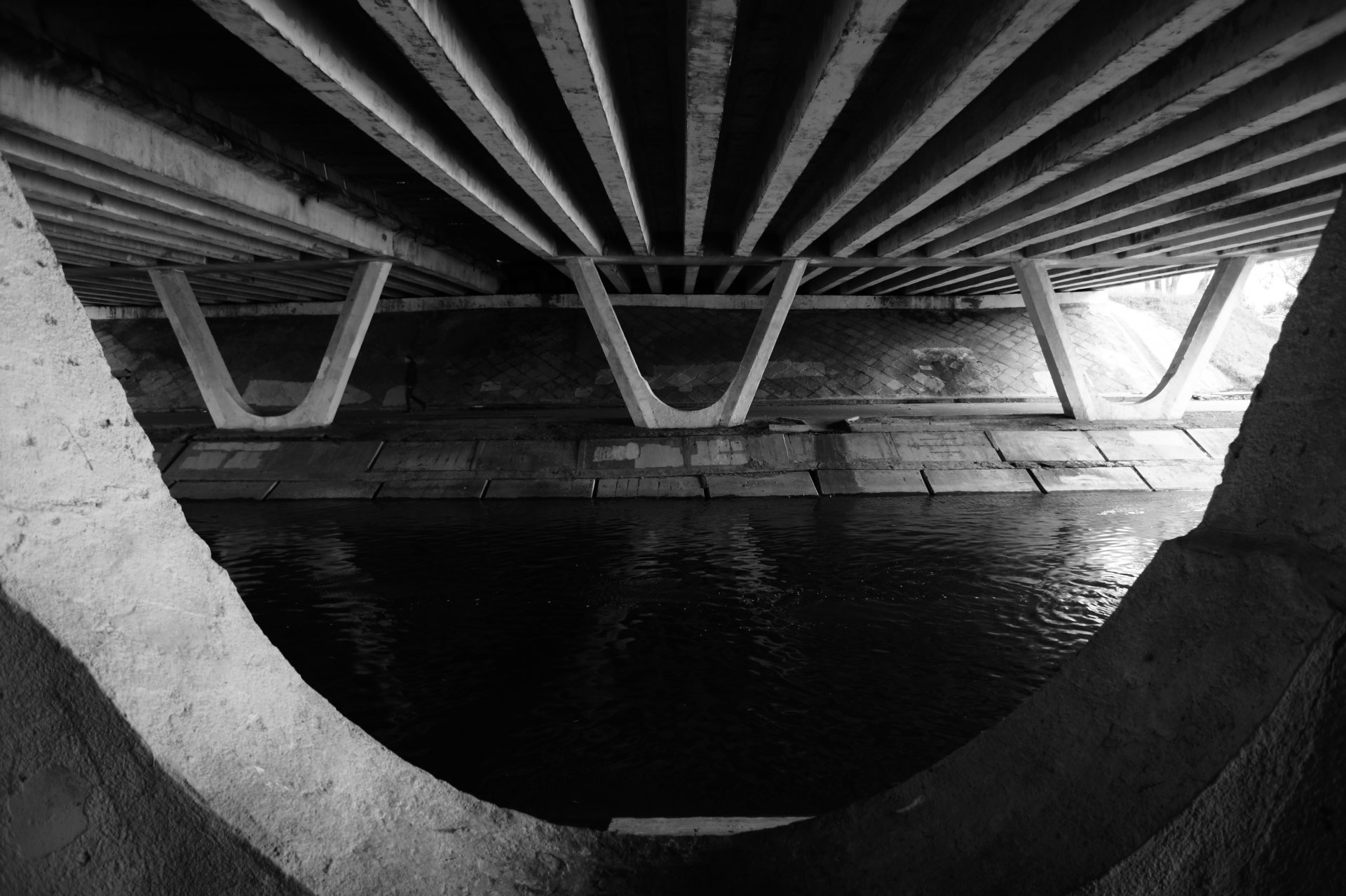 Фото обложки