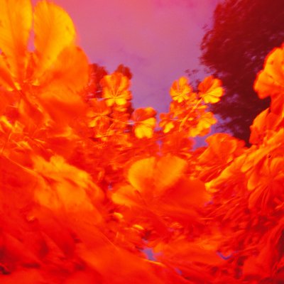yellow red