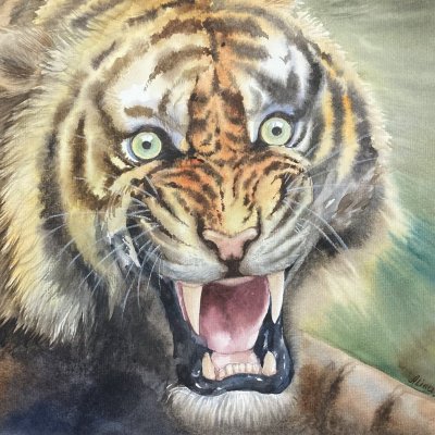 Predator