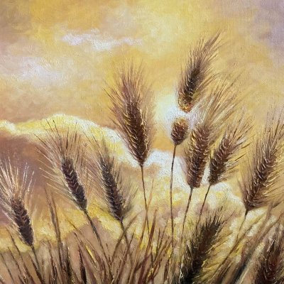Sun in spikelets