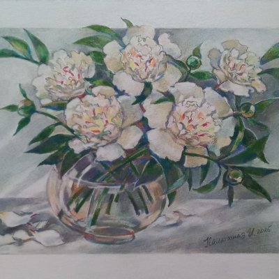 Фестива Максима