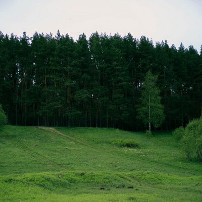 Массовка
