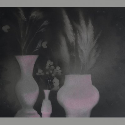 Spring 3: Flowers