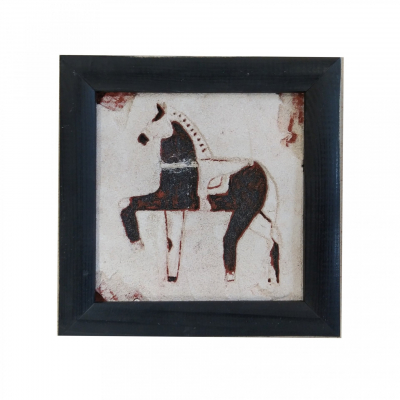 “Circus horse”