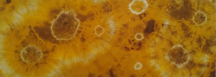 Supernova explosion