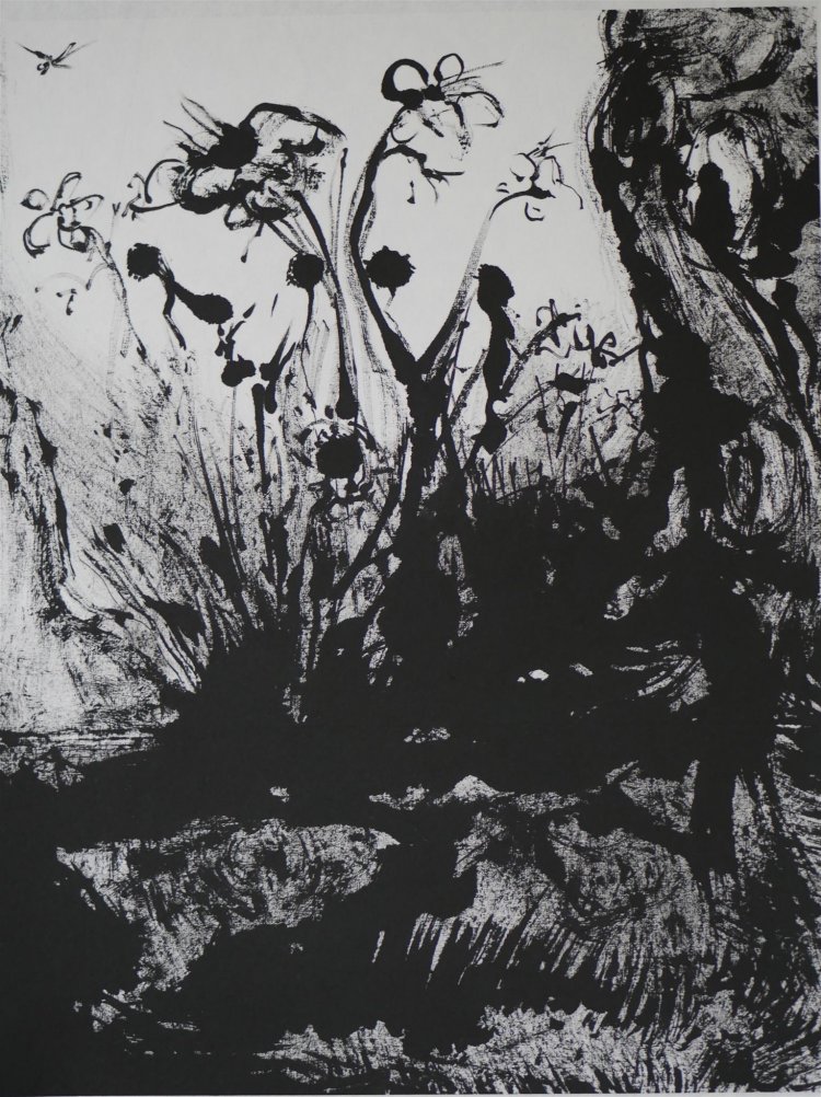 Mosquito Landscape