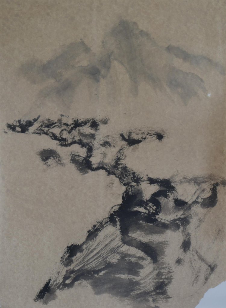 Pine in the mountains