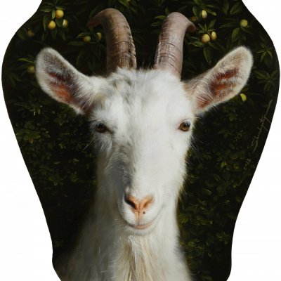 Goat