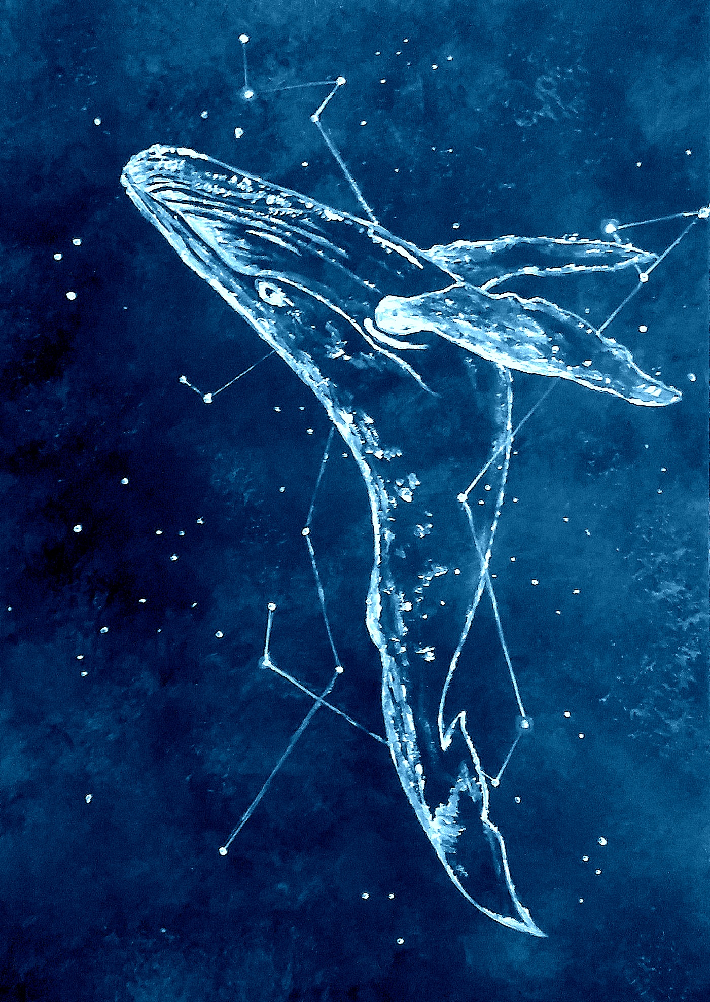 В далеком созвездии кита. Тарталья Созвездие кита. Небесный кит Созвездие Геншин. Киты в небе. Киты в космосе.