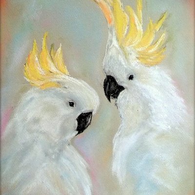 Crested cockatoos