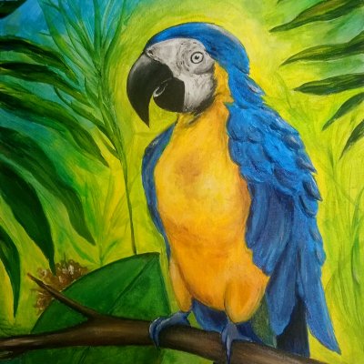 Tropical macaw