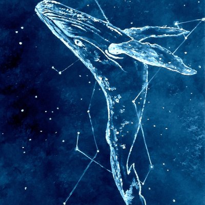 Whale flying in the starry sky