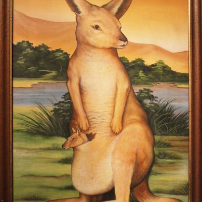 Kangaroo (Кенгуру), Ruma