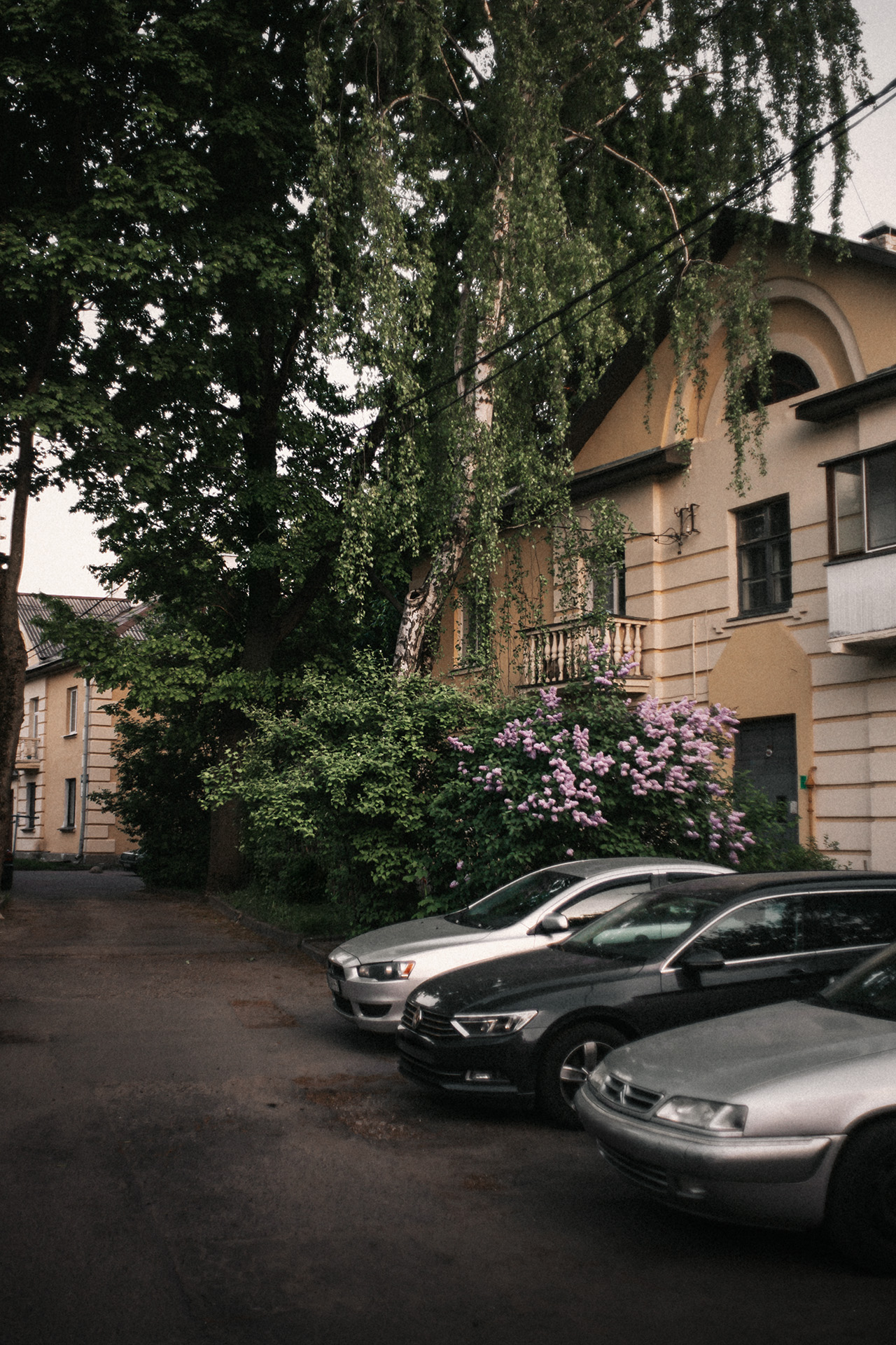 Other photo