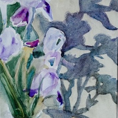 Shadows of irises