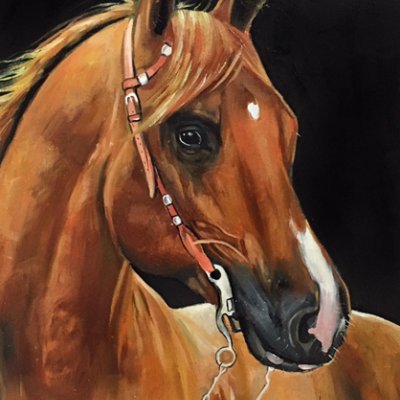 Portrait of a Redhead Horse