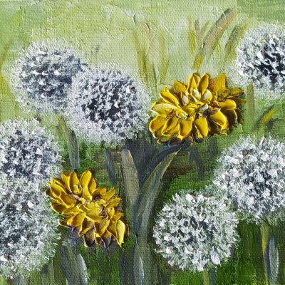 Dandelions