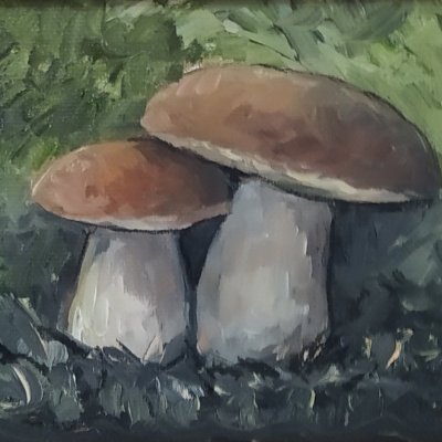 Boletus