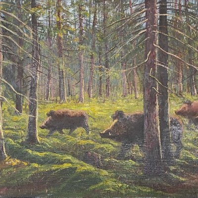 Wild boars