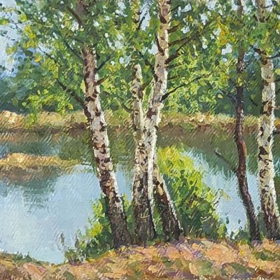 Birch trees