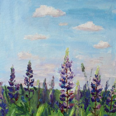 The lupins. Noon