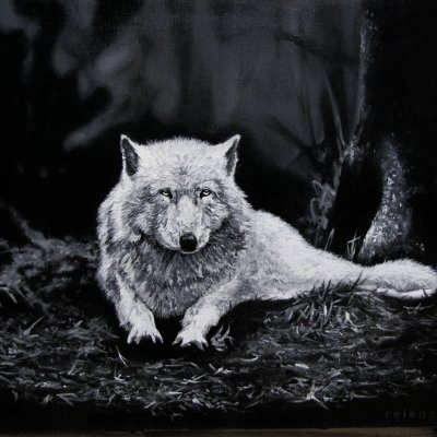 Oil painting white wolf in the forest