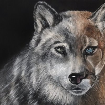 Портрет волчицы и пумы