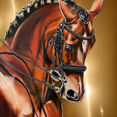 Horse-Horse-Stallion Picture