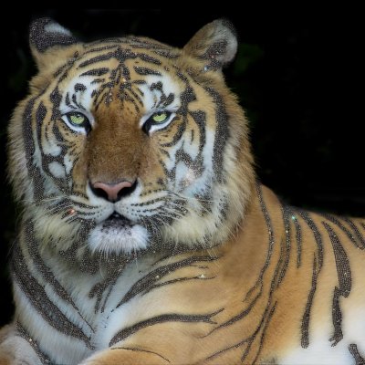Tiger rhinestone painting