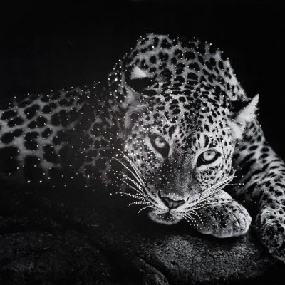 Картина-панно из страз Леопард