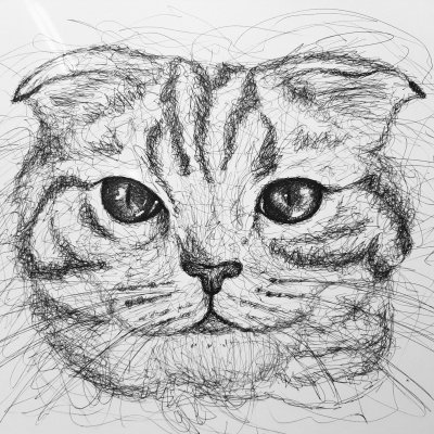 Кот scribble