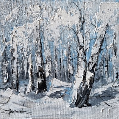 Birch grove in snow