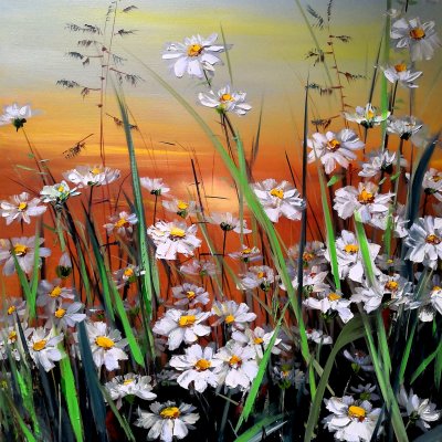 Daisies in the sunset
