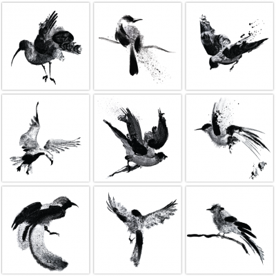 “Birds” series