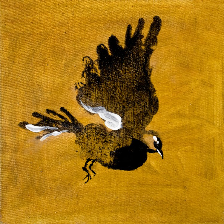 Bird's work series