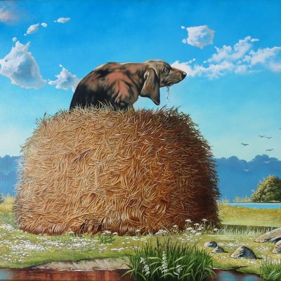 Dog on the hay