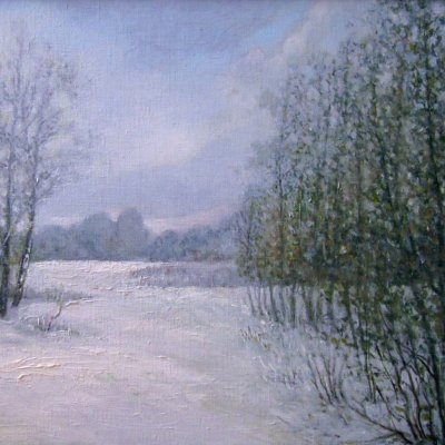 “Winter morning. Tsnyansky Reservoir”