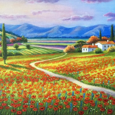 Poppy field