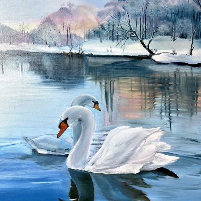 Swans on the winter pond