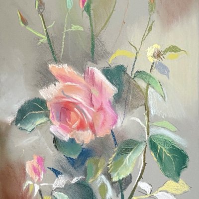 "Dalian rose"