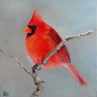 Красная птица